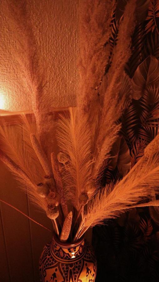 Bed and Breakfast Oasis de Bornos Exterior foto