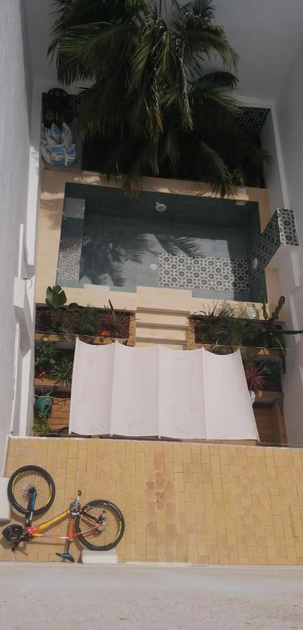 Bed and Breakfast Oasis de Bornos Exterior foto